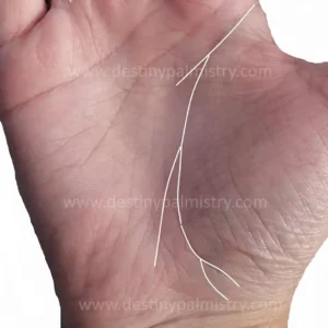 General Palm Reading for Guidance