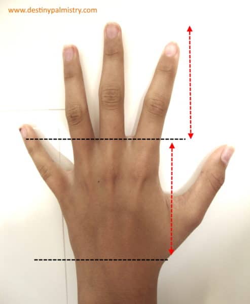 long fingers in palmistry, my future