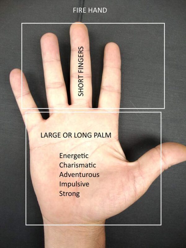 Career Choices from Hand Analysis Destiny Palmistry