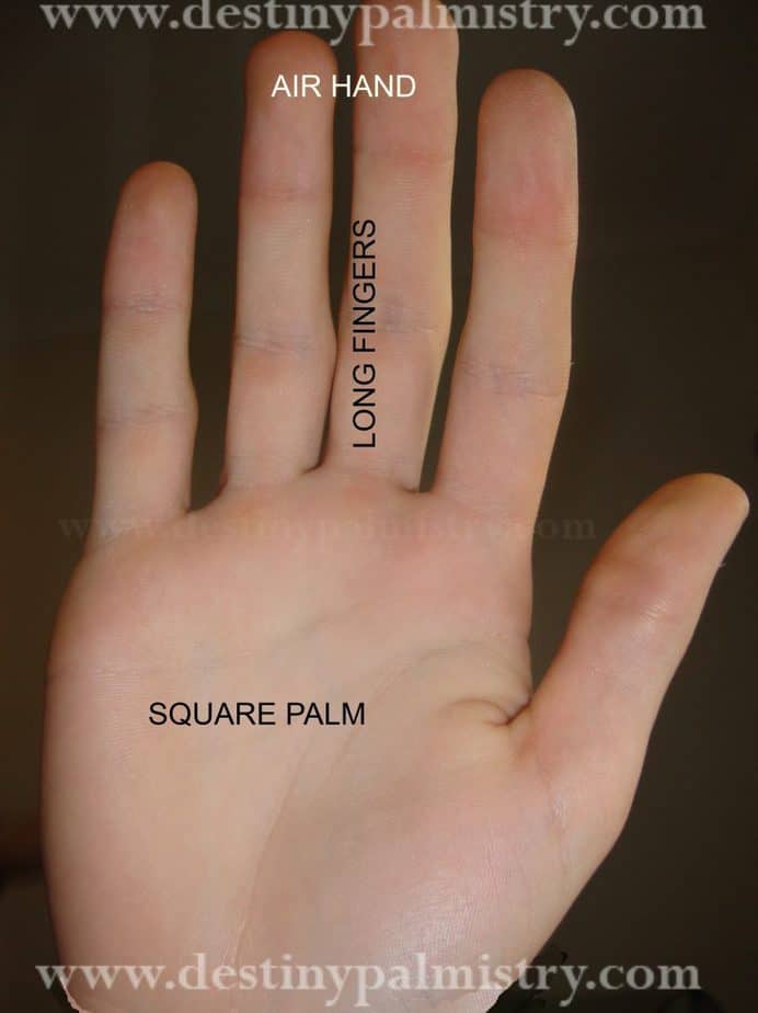 Air Hand Shape Meaning in Palmistry Destiny Palmistry
