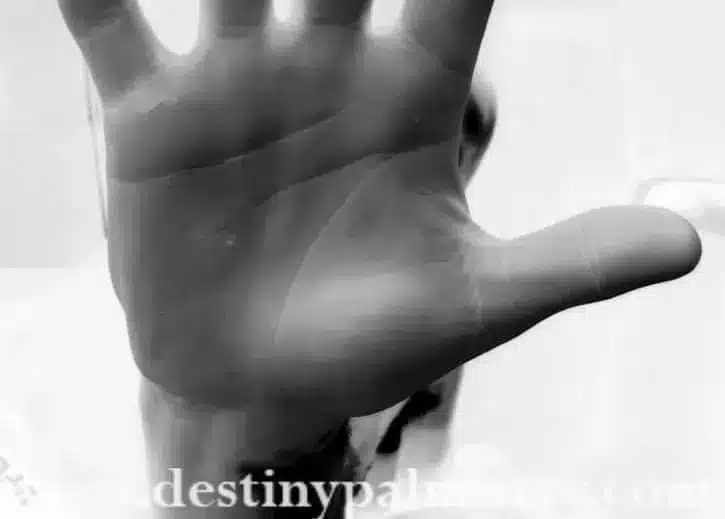 Earth Hand Personality in Palmistry