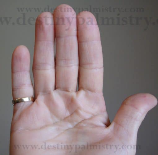 Finger Length Meaning in Hand Analysis Destiny Palmistry