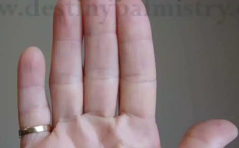 finger length,