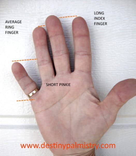 meaning of a short pinkie, average ring finger length