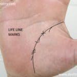 life line marks, cross line of life line, star on life line, marks on line of life