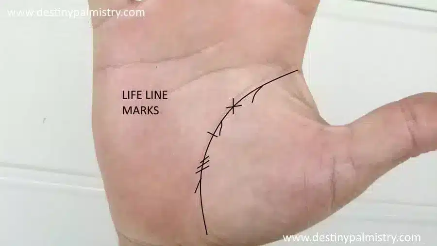 Life Line Marks on the Palm Explained
