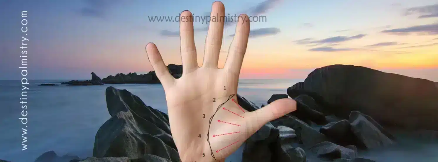 Island on Life Line Meaning in Palmistry