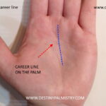 career line, palm reading career