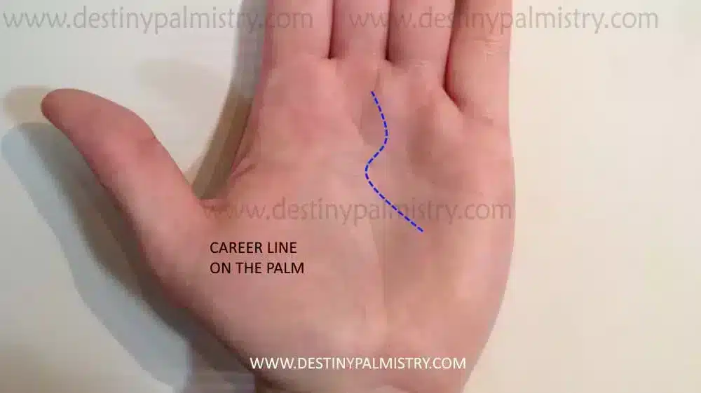 curved career line, wavy fate line