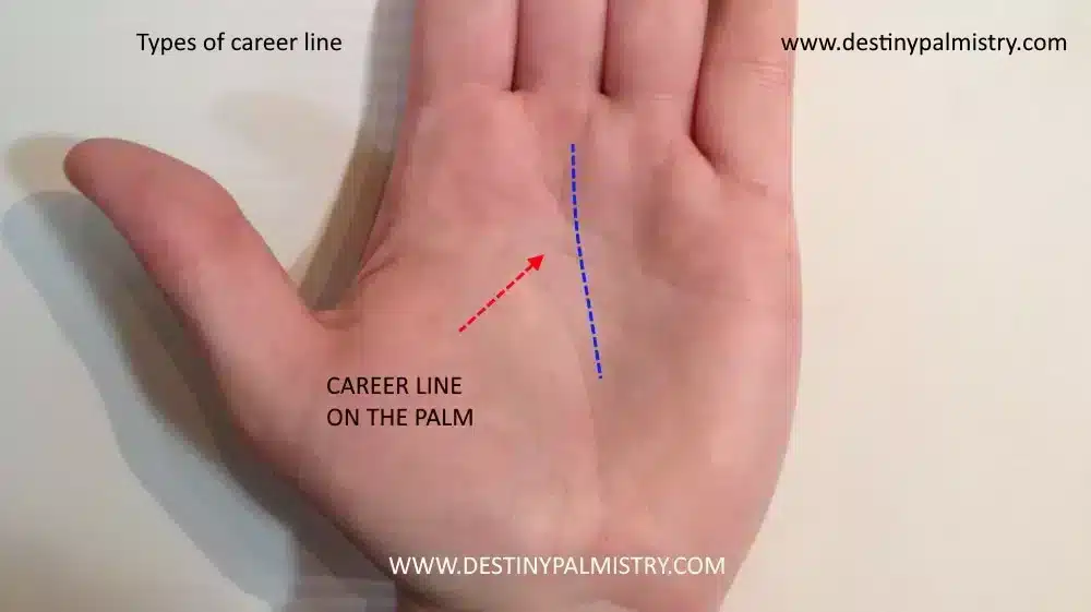 Career Line in Your Palm the Ultimate Guide