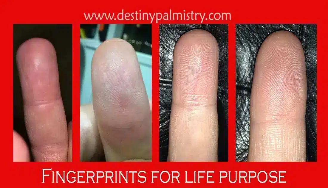 Fingerprints to Tell Life Purpose or Mission