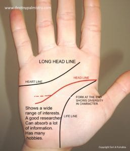 long head line meaning, best palm reader in the world, who is the best palm reader in the world?, the best palm reader in Australia, the best palm reading website in the world, professional palm reader, master palmist,