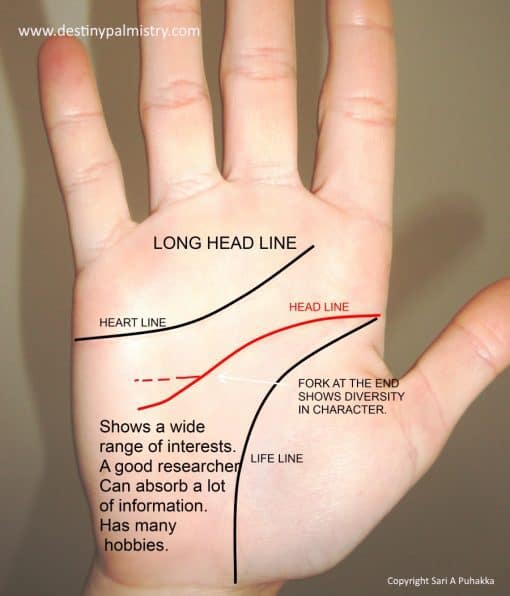 long head line, best palm reader in the world, who is the best palm reader in the world?, the best palm reader in Australia, the best palm reading website in the world, professional palm reader, master palmist,