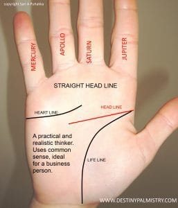 head line shapes meaning, palmistry head line straight, various head line shapes, best palm reader in the world, expert hand analyst, professional palm reader in Australia, Palm reader in the Redlands, Queensland palm reader