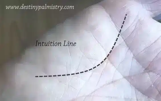intuition line