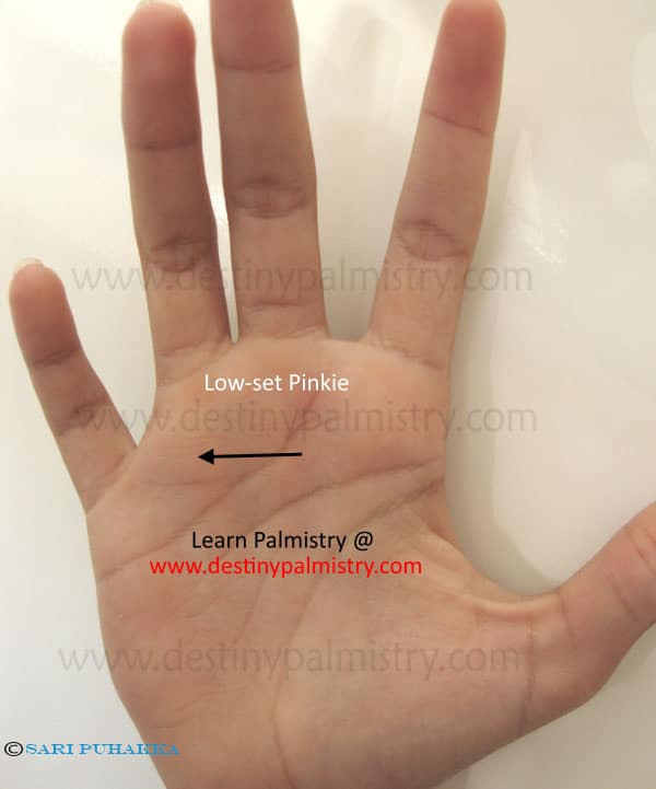 Low Set Pinkie Little Finger Meaning in Palmistry Destiny Palmistry
