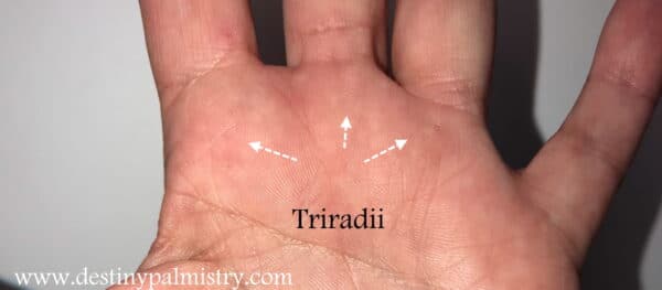 triradii on the palm