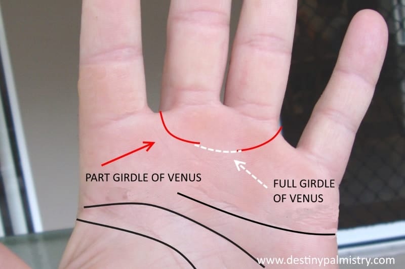 girdle of venus, meaning of girdle of venus, the best palm reader in the world, who is top palm reader in Australia