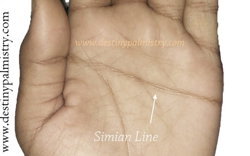 Lines on the palm meaning Archives - Page 3 of 4 - Destiny Palmistry