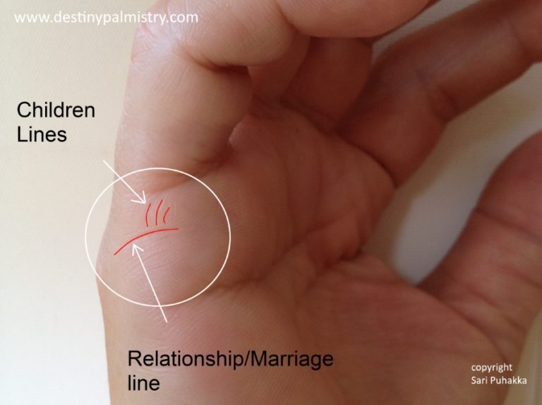 Children Lines in Palmistry Actual Meaning Destiny Palmistry
