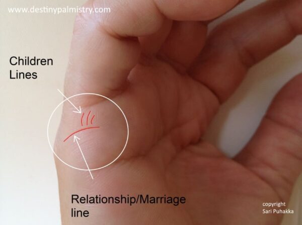 children lines, line of child, plam lines, best palm reader in the world