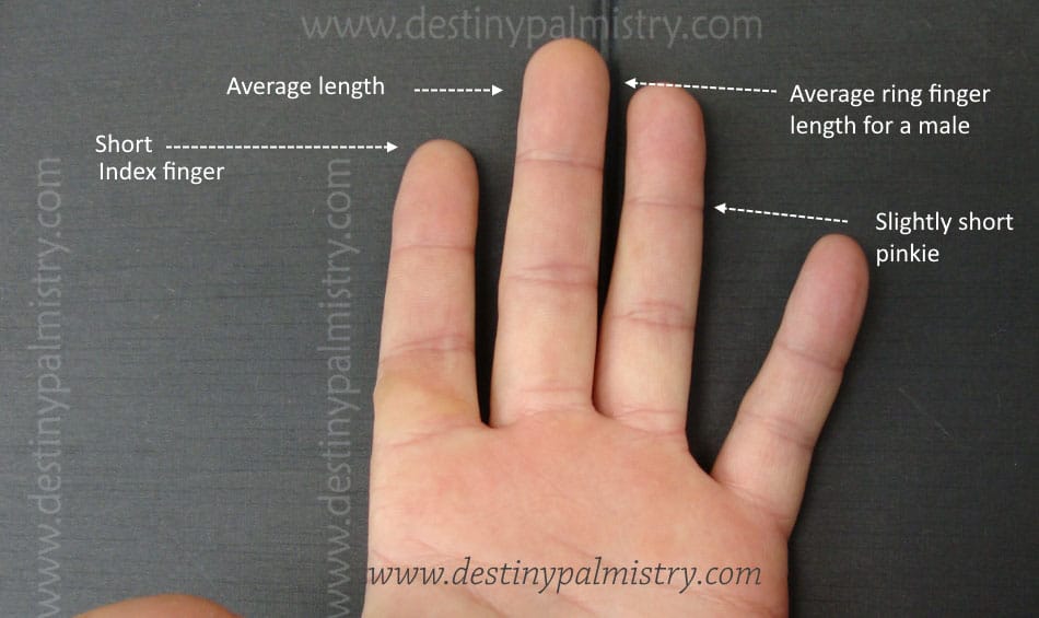 Short Pinkie and Short Finger Meanings Destiny Palmistry