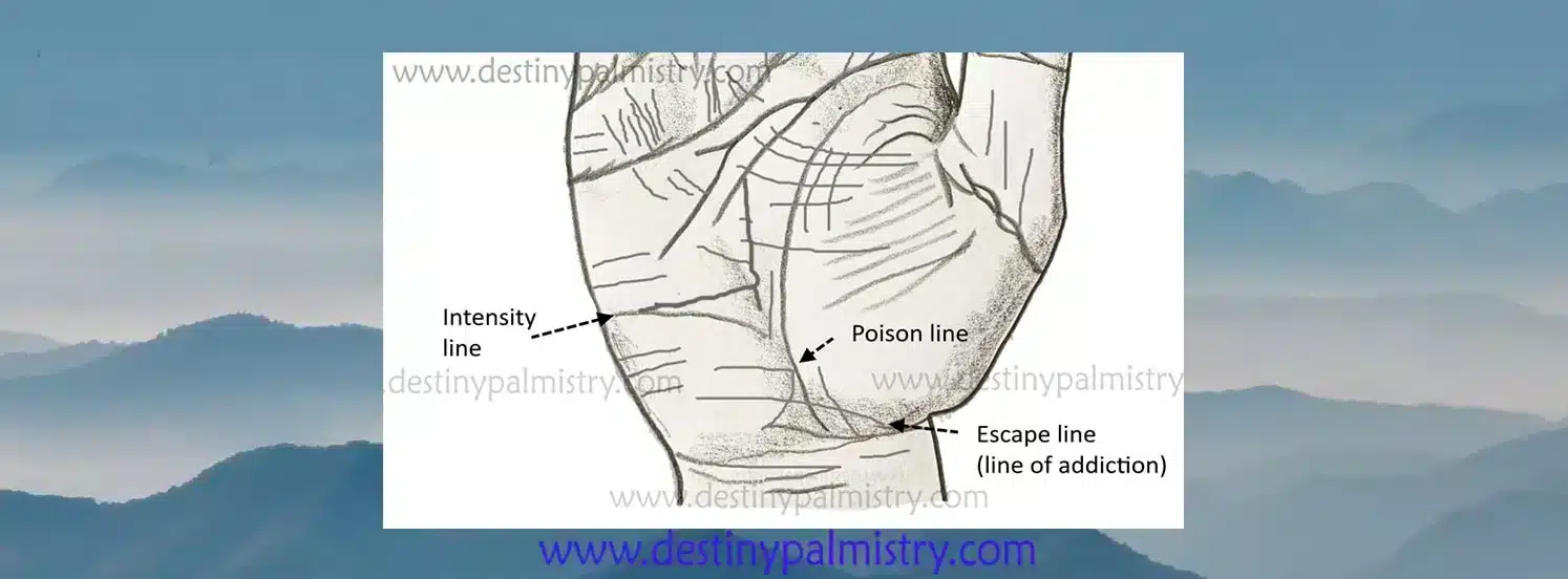 Poison Line (Poison Bar) Meaning on the Palm