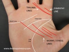 stress lines, worry lines, palm lines, destiny, palmistry, best palm reader in the world
