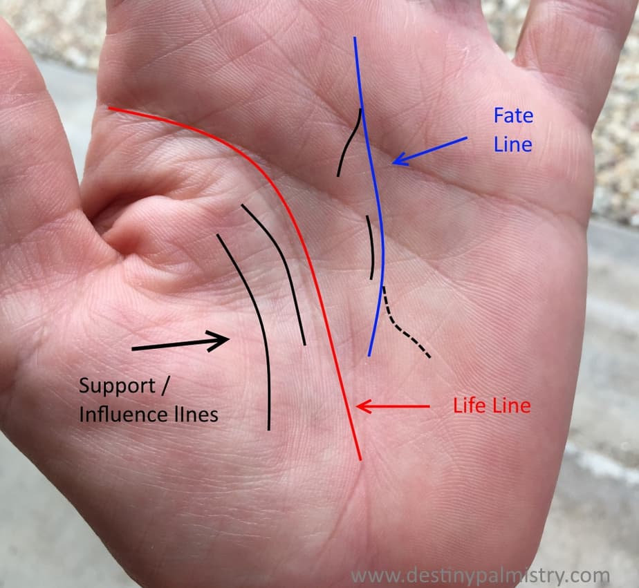 Influence Lines and Support Lines in Palmistry Destiny Palmistry