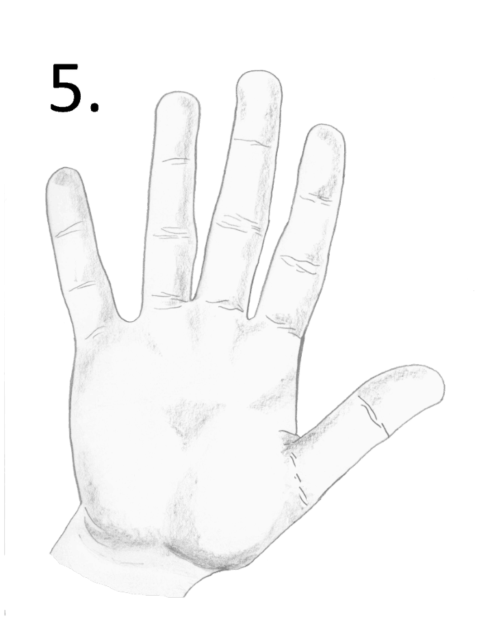 hand with long fingers
