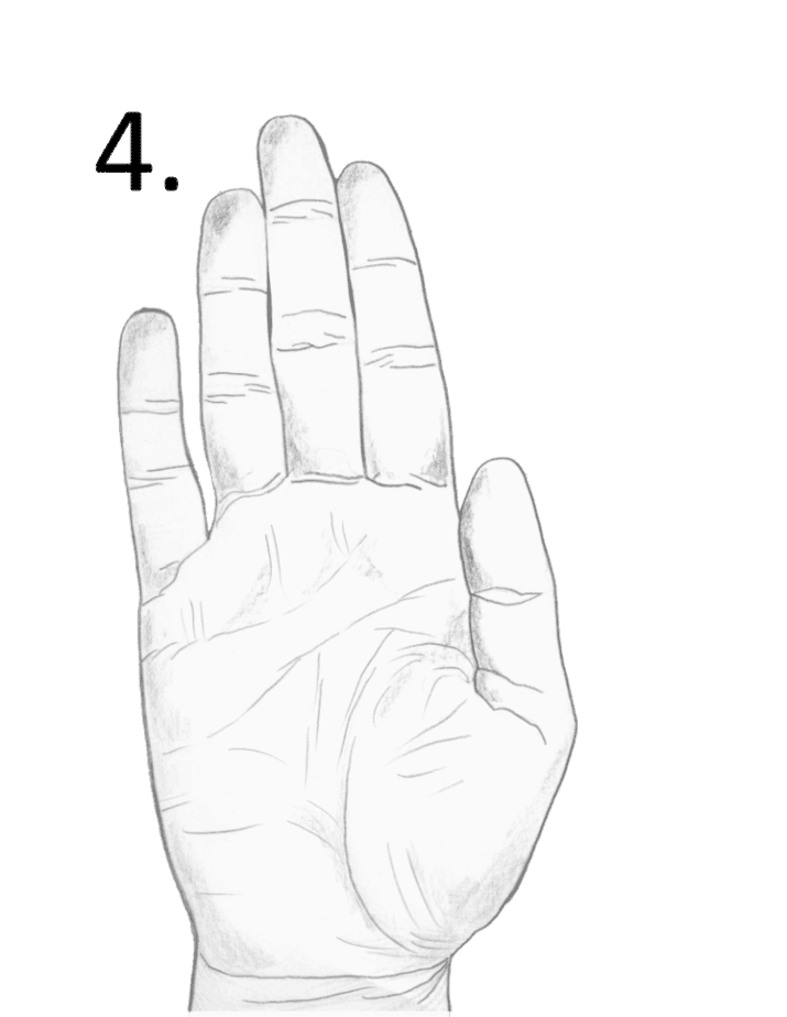 Long Fingers Meaning in Palmistry Destiny Palmistry