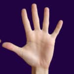palm reading accurate, life line types, hand analysis, career in palmistry, free palmistry, learn palm reading, types of life line, palm lines, palm reading love, long fingers