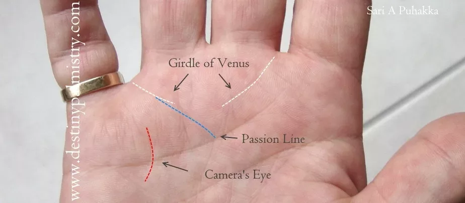 passion line, camera's eye, camera eye line, artist hand in palmistry