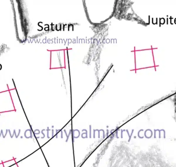 Square Mark on the Palm Mounts Palmistry