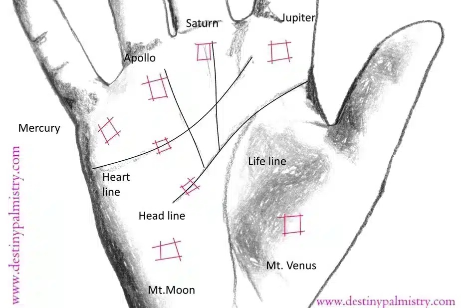 Square Mark on the Palm Mounts Palmistry