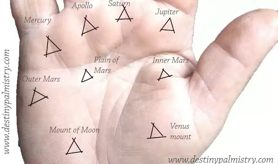 Triangle Mark on the Palm Mounts or Fingers