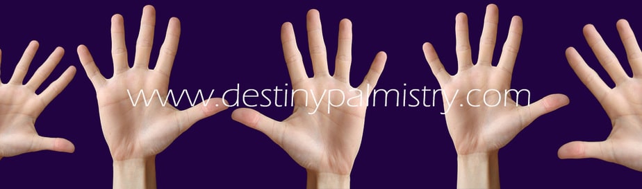 destiny palmistry, palm reading online, best palm reader, accurate palm reading, hand analysis, feedback, romantic personality from the palms