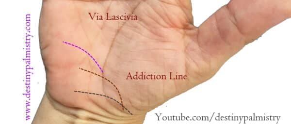 via lascivia, via lascivia, allergy line, addiction line, allergy line meaning, poison line