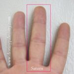 saturn finger, middle finger, palmistry finger meanings, give someone the finger,