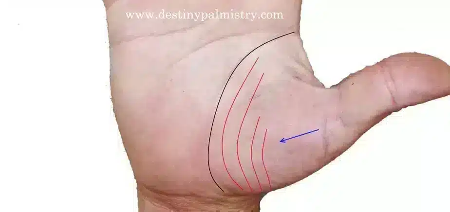 Venus mount lines, lines on venus mount, support lines, sister lines, mars lines