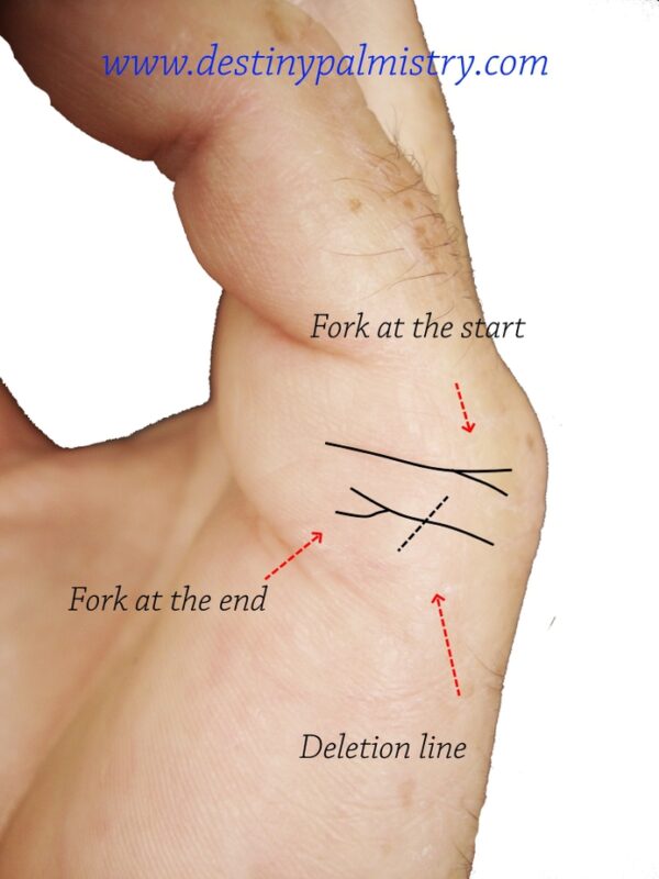 Signs of Divorce from the Palm lines Destiny Palmistry