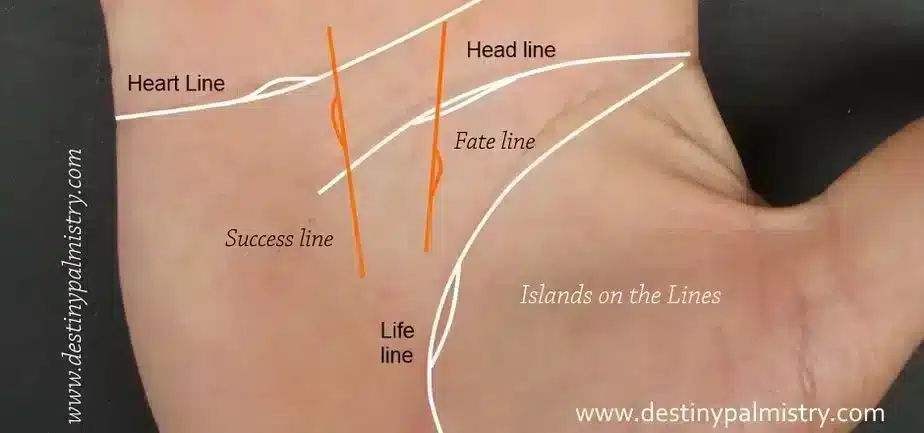 Island Mark on the Lines of the Palm