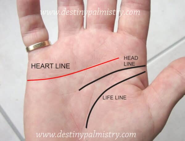 normal heart line, major lines on the palm