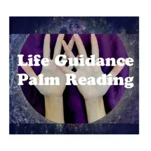 full palm reading