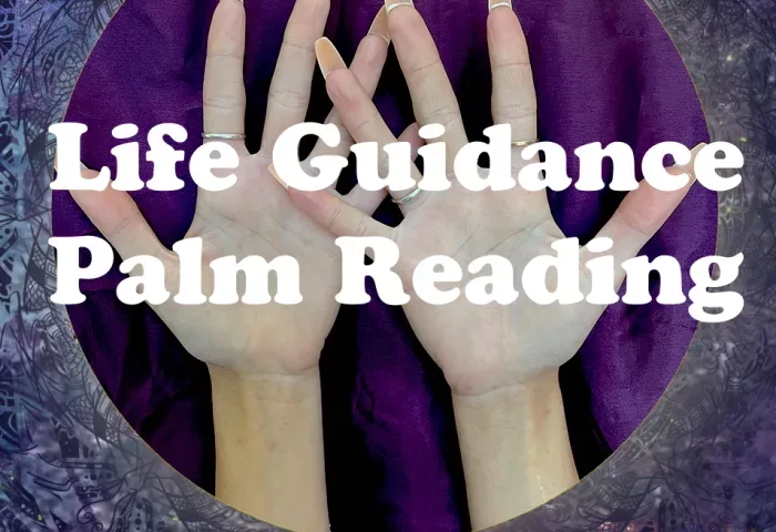 full palm reading, life guidance