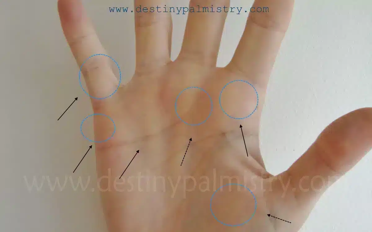 love or arranged marriage, palmistry lines