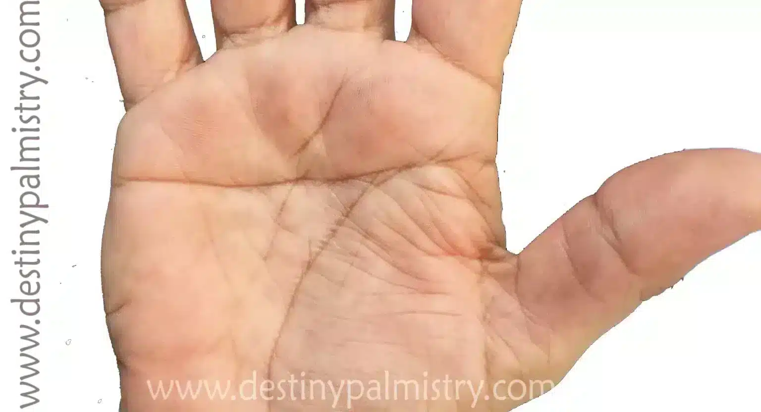 Right Hand Simian Line on Your Palm