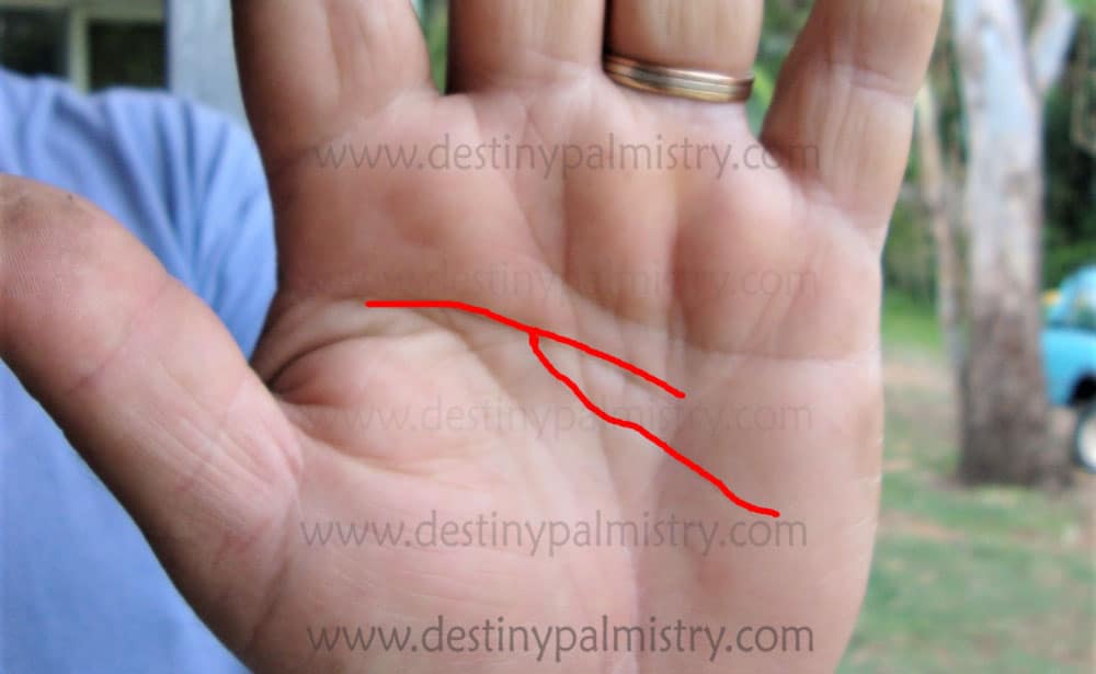 Forked Head Line Meaning in Palmistry Destiny Palmistry
