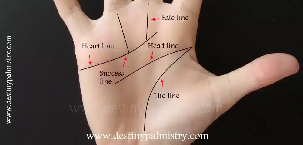The Palmistry Line that Reveals Your Strengths