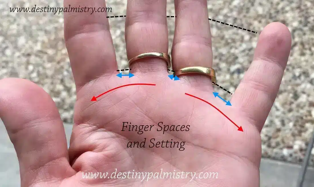 spaces between the fingers